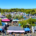 The Market at Delta